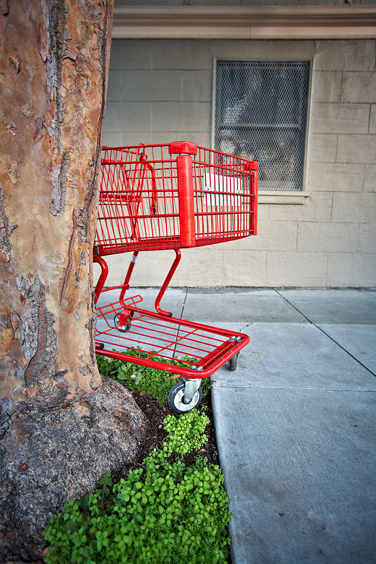 What I Seen - Shopping Cart
